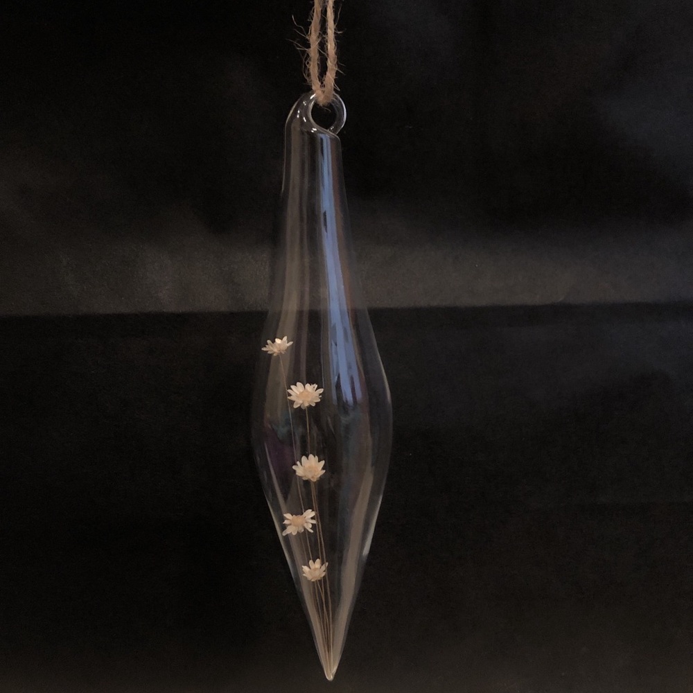 Encapsulated botanical
